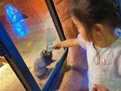 -酷嗒动物文化乐园(cutezoo西溪乐天城店)