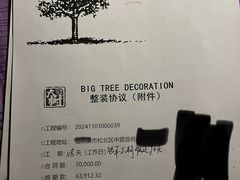 -大树装饰·十年本土家装