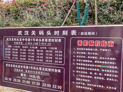 -武汉关码头(轮渡站)