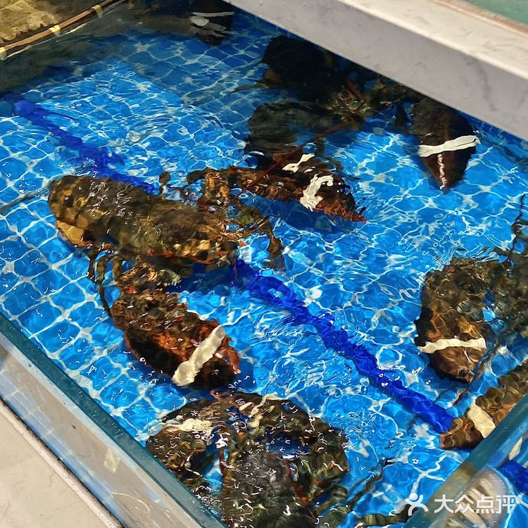 日照这家本地人食堂藏不住了!!