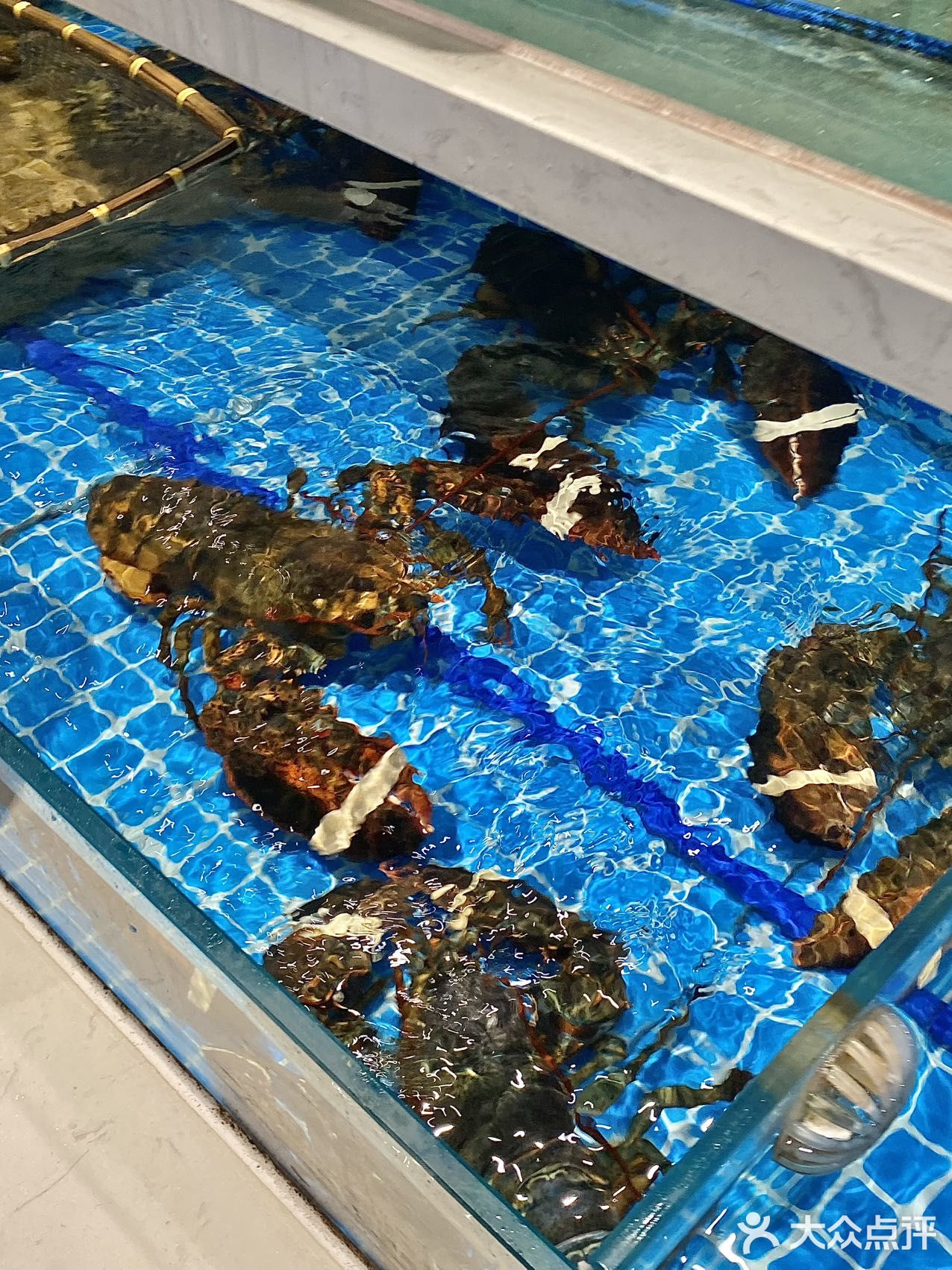 日照这家本地人食堂藏不住了！！
