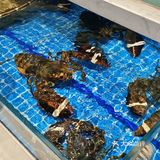 日照这家本地人食堂藏不住了！！
