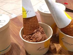 黑巧克力冰淇淋-LUNEURS月乐诗 冰淇淋咖啡(环贸店)