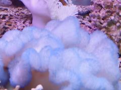 -泉州海丝野生动物世界