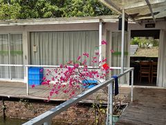 -芭厘·农庄老字号.电饭煲五指毛桃焗鸡