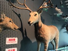 -中国湿地博物馆