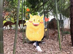 -观唐（国际）度假村温泉