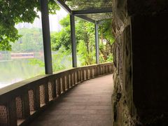 -重庆彩云湖湿地公园