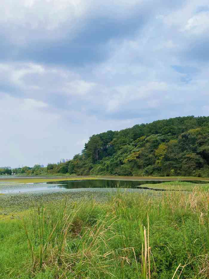 藏龙岛国家湿地公园-"第一次过来,没想到这边还有个湿地公园,还.