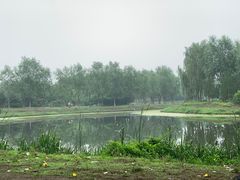 -东郊湿地公园