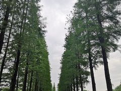 -圩墩遗址公园