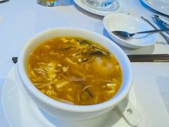 -食为先(Shark Fin)