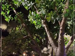 -绿茶餐厅(汇悦大融城店)