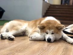 -YCHL Studios健身工作室(市二宫店)