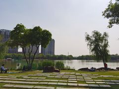 -南翔镇银翔湖公园