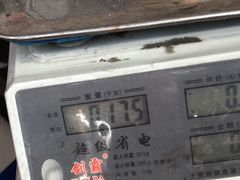 -上海龙吴水胜海发市场
