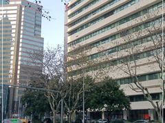 -上海市东方医院(总院)
