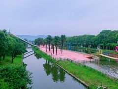 -苏州太湖西山岛开心农场