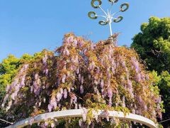 -玉山公园