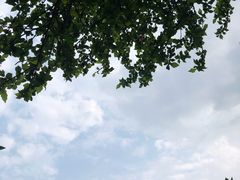 -中国中医科学院西苑医院(本部)