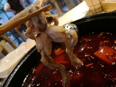 美蛙-香坝坝鲜鱼火锅(春熙路店)