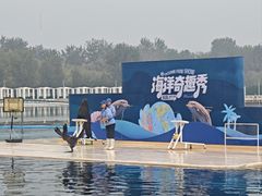 -秦皇岛乐岛海洋王国