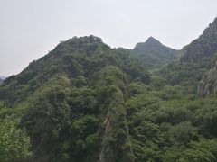 -大岭沟猕猴桃谷风景区