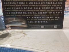 -水晶之星洗浴温泉汗蒸