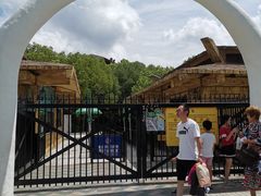 -热带风暴水上乐园(新镇路)
