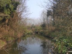 -桤木河湿地公园