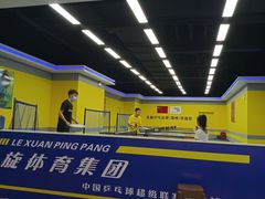 -乐旋乒乓球(郑州一站广场店)