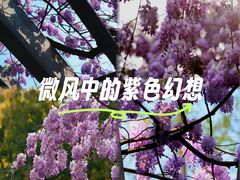 -郑和公园