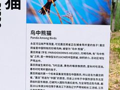 -绿堤公园