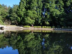 -庐山风景区花径公园