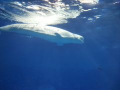 -福州罗源湾海洋世界旅游区