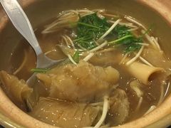 -大中鱼翅 Taitong Shark Fin