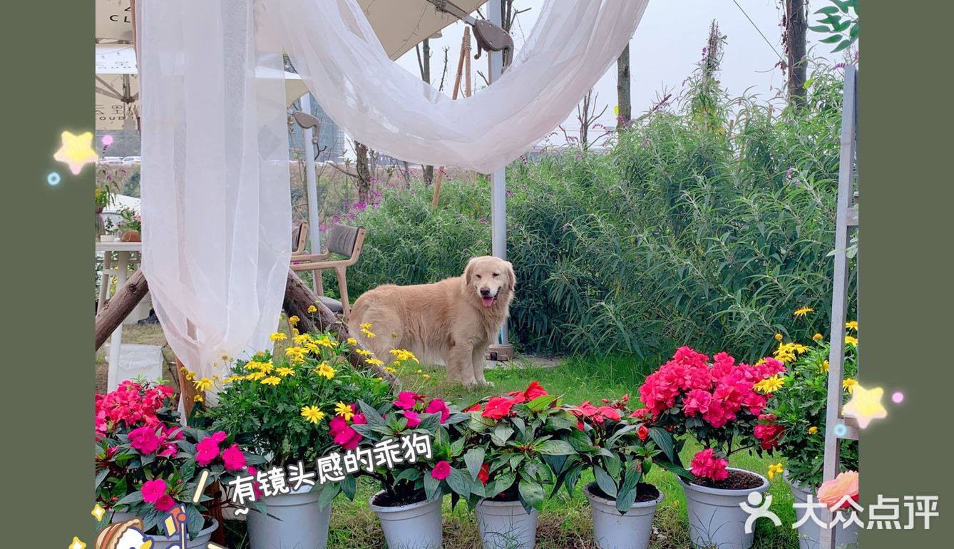 服务也很周到，可以团套餐