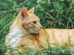 -苏州河梦清园环保主题公园