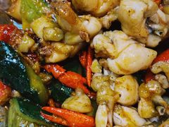 招牌龙蛙煲-毛哥小馆子(百井坊巷店)