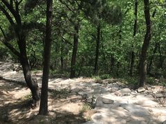 -北京鹫峰国家森林公园