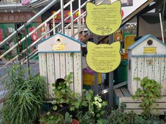 -猫咪博物馆(顶澳仔猫街店)