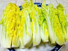 娃娃菜-刘一手重庆火锅(阳新文化宫店)