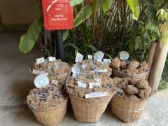 -大象粑粑造纸公园