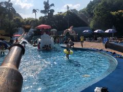 -重庆海昌加勒比海水世界
