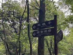 -岳麓山风景名胜区