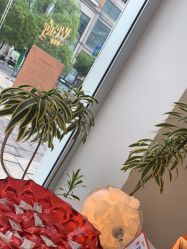 点击看大图 -WENDY·温迪皮肤管理