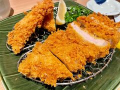 炸猪里脊-和幸(春熙路群光广场店)