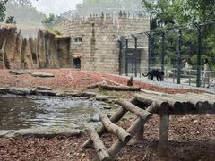 -北京野生动物园