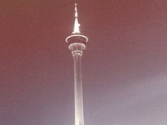 -澳门环岛游湾仔码头