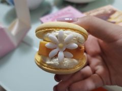 桂花半熟芝士味马卡龙-味多美蛋糕(洋桥店)
